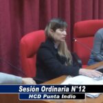 Sesión ordinaria n°12